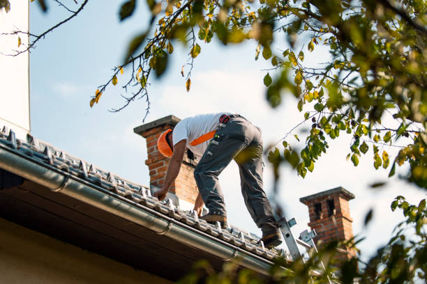 Best Storm Damage Roof Repair  in Martinsvle, IL
