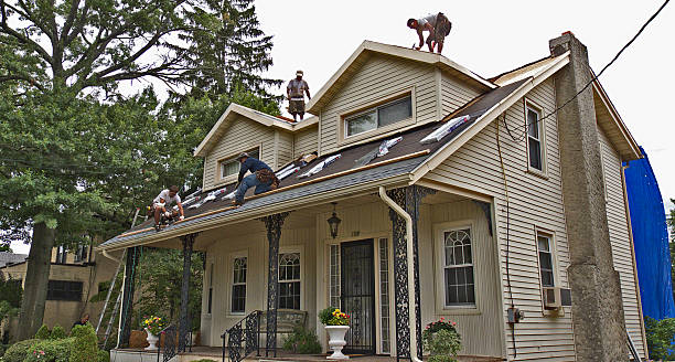 Best Sealant for Roof  in Martinsvle, IL