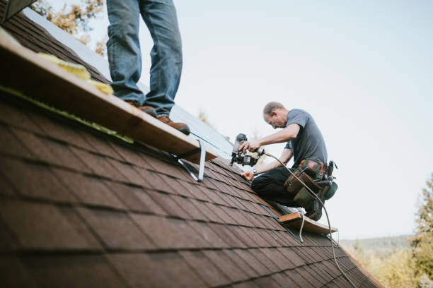 Best Roofing Contractor Near Me  in Martinsvle, IL